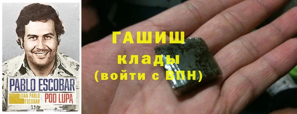 хмурый Арсеньев