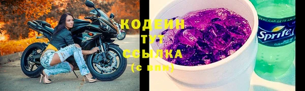 хмурый Арсеньев