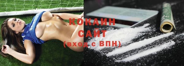 хмурый Арсеньев