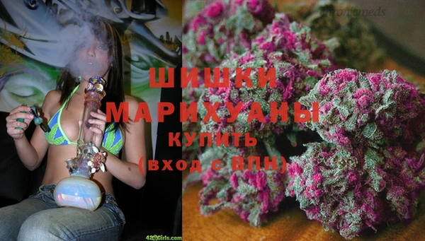 хмурый Арсеньев
